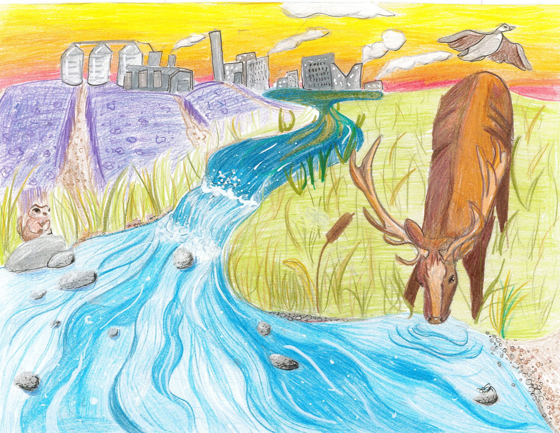 Leah, Davison School, Melville - Gr. 6