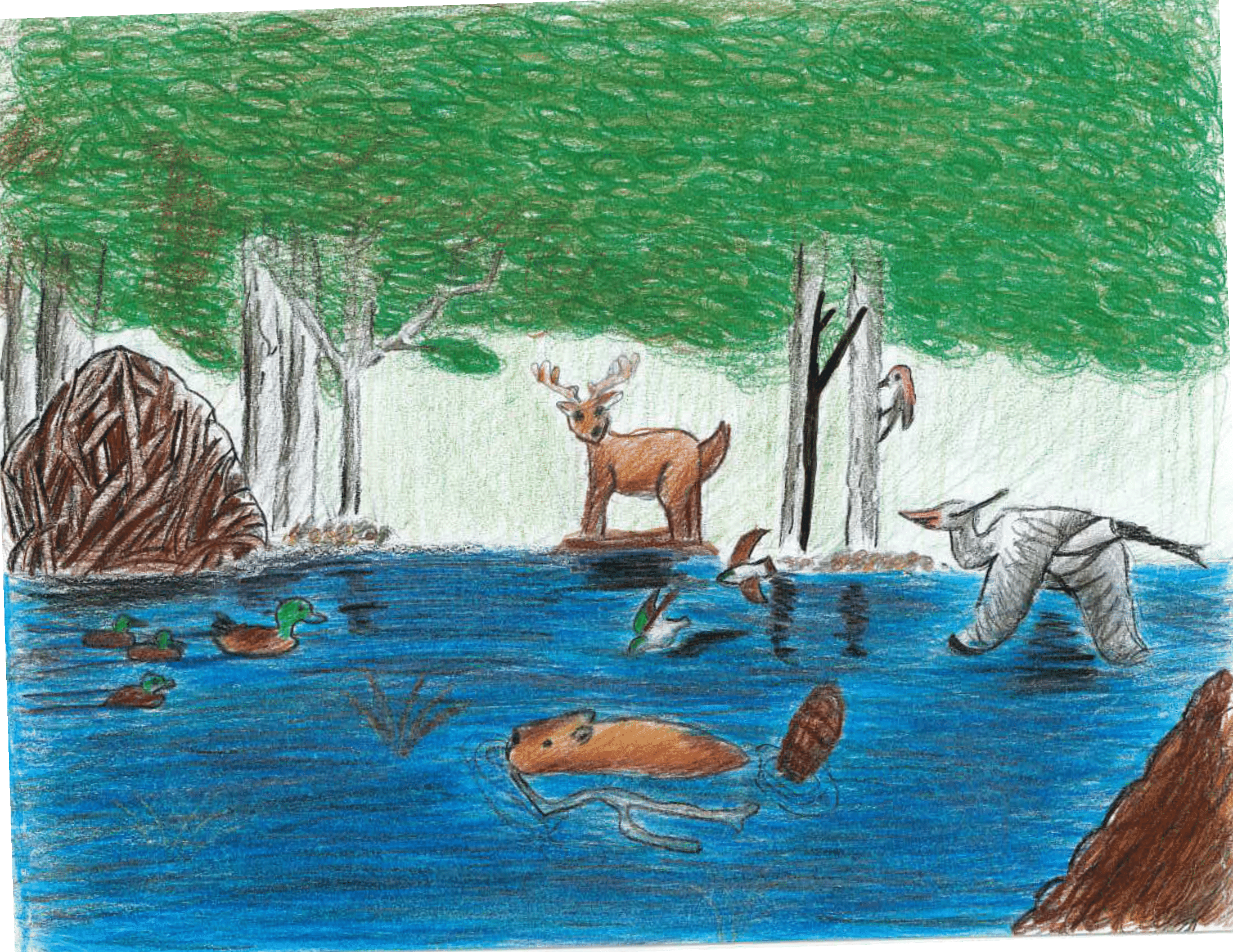 3rd Place - Adriane - Gr6 - StHenrysSr - 2025_rotated-1